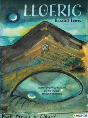 cover image of Lloerig